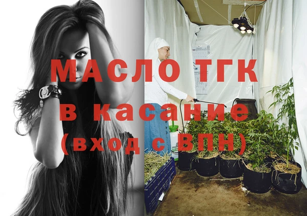 прущие крисы Бородино