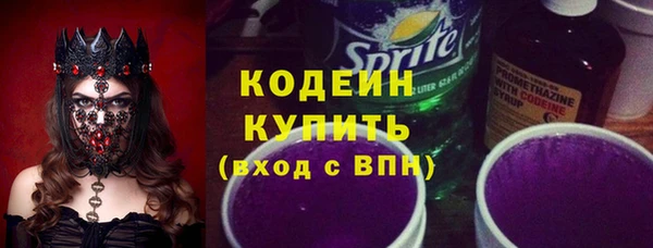 прущие крисы Бородино