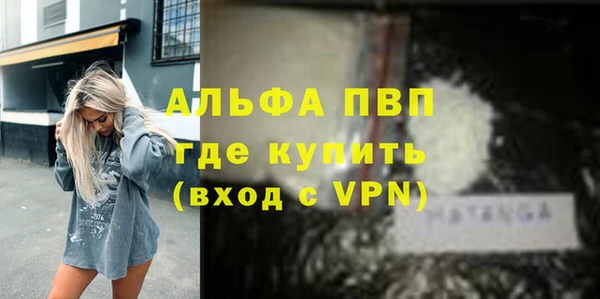 прущие крисы Бородино