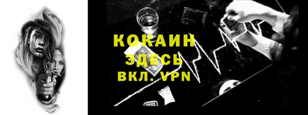 прущие крисы Бородино