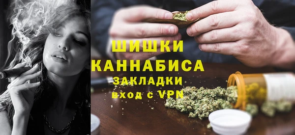 прущие крисы Бородино