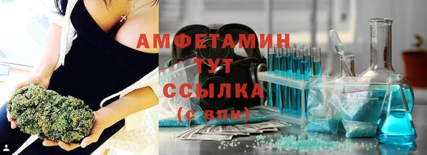 прущие крисы Бородино