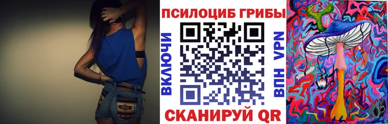 продажа наркотиков  Киреевск  Галлюциногенные грибы MAGIC MUSHROOMS 